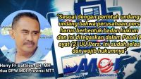 Ketua DPW MOI NTT, Herry Battileo