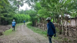 Matahari Terbenam Bukan Lagi Pembatas, Listrik PLN Resmi Terangi Dusun Terpencil TTS
