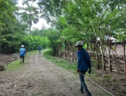 Matahari Terbenam Bukan Lagi Pembatas, Listrik PLN Resmi Terangi Dusun Terpencil TTS