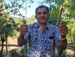 Senyum Warga Oelsabloit: Dulu Gelap Gulita dan Bayar Mahal, Kini Terang Benderang Berkat PLN