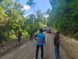 PLN dan KPH Labuan Bajo Sinergi Aliri Listrik untuk 786 Keluarga di Manggarai